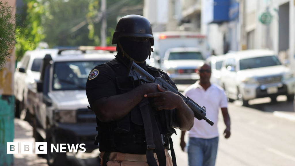 Haiti forms new government to tackle gang violence