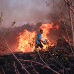 New strain declared a continental public health emergency