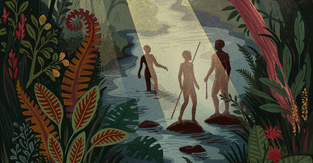 Early Humans Thrived in Rainforests