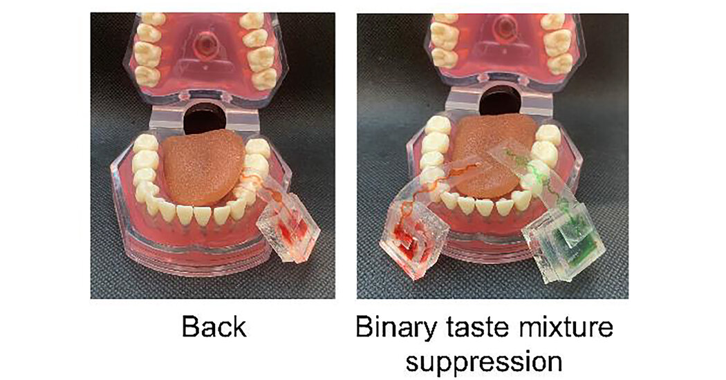 It’s Like Virtual Reality Goggles for Your Mouth