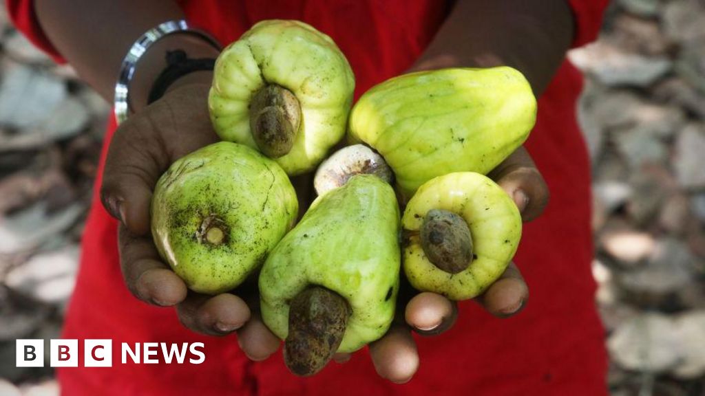 Ghana wants more for its cashews, but it’s a tough nut to crack