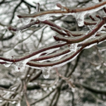 Did Punxsutawney Phil see his shadow or is an early spring on the way?