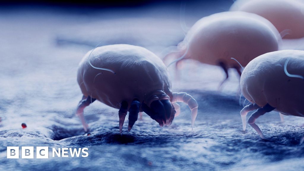 NICE backs ‘life-changing’ tablet for dust mite allergies
