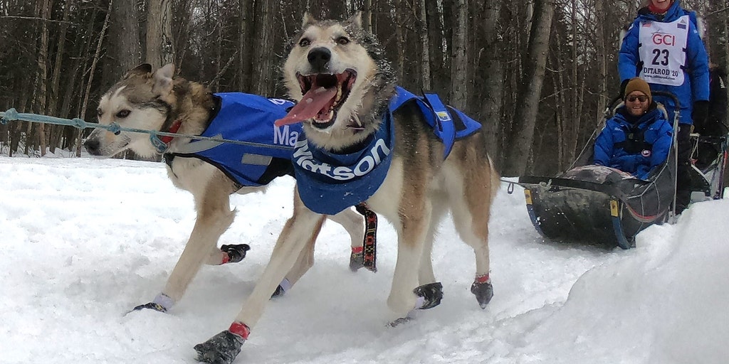 The 2025 Iditarod race will change starting locations due to lack of snowfall