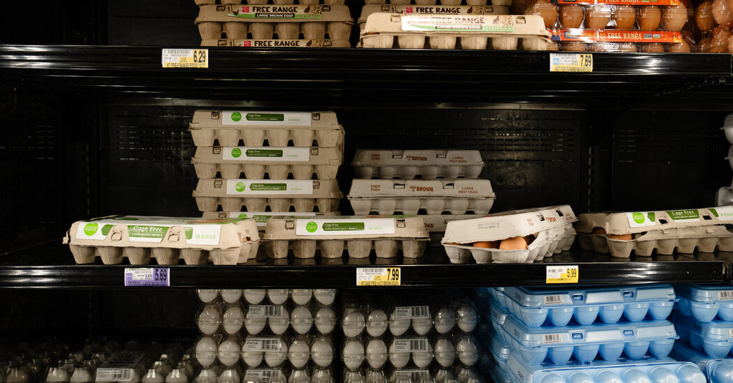 Egg Prices Have Dropped, Though You May Not Have Noticed