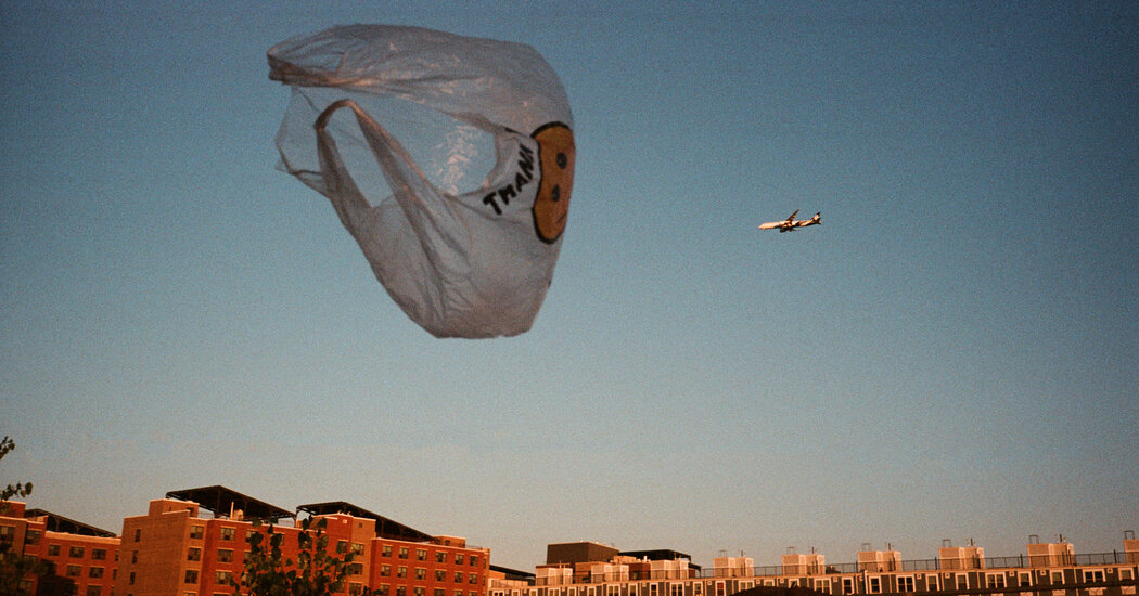 Plastic Bags Were Banned in NYC 5 Years Ago. They’re Still Floating Around.