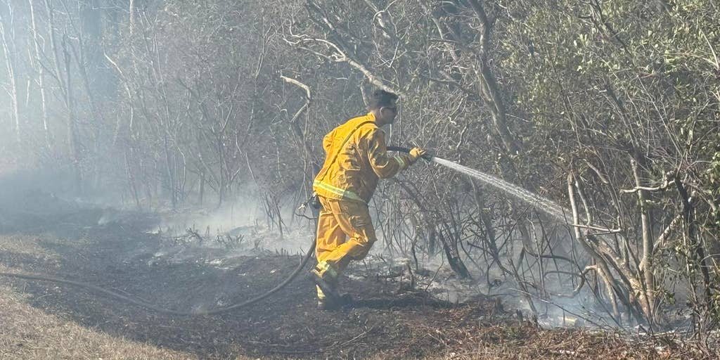 Wildfires erupt along Eastern Seaboard as weekend dominated by dry, windy weather