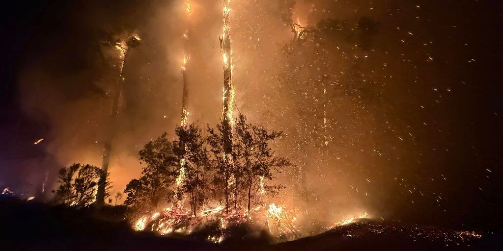 Lack of winter rainfall puts Florida in a precarious fire situation