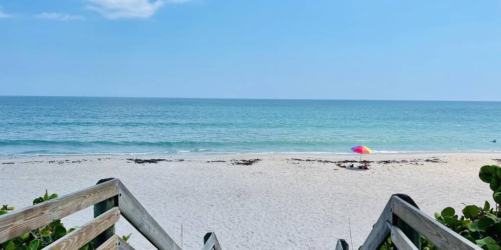 Red tide detected off Florida’s coast, but don’t go changing travel plans