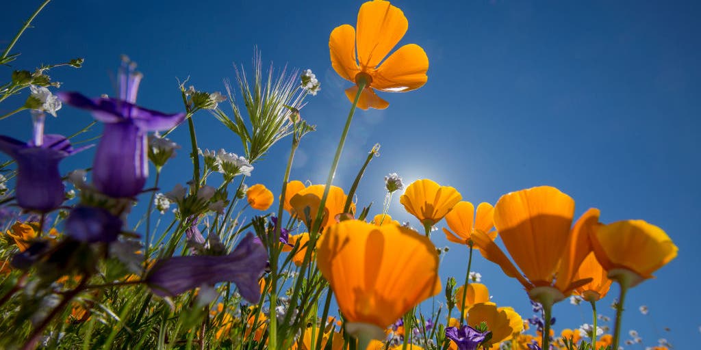 NOAA’s new spring weather outlook paints a familiar tune