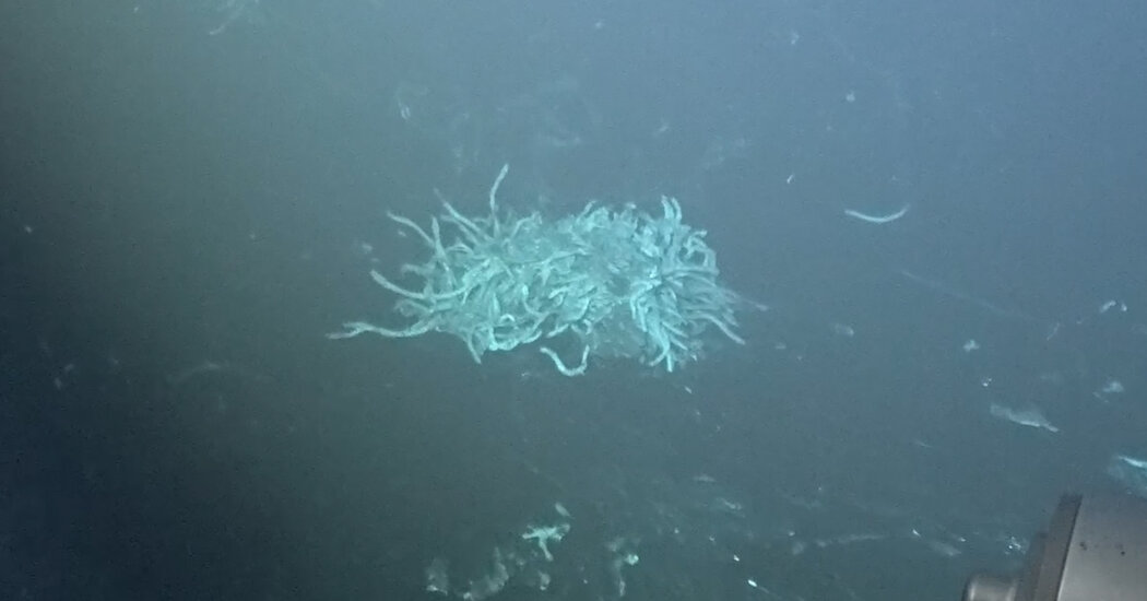 Volcanic Eruption in Deep Ocean Ridge Is Witnessed by Scientists for First Time