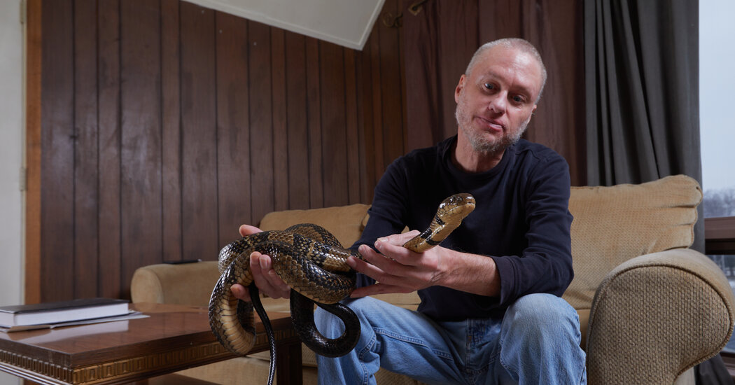 Universal Antivenom May Grow Out of Man Who Let Snakes Bite Him Hundreds of Times