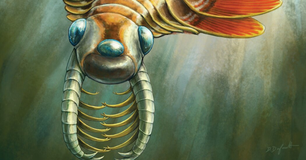 This Fossil’s 3 Eyes Are Not Its Most Surprising Feature