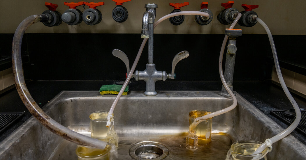 Trump Administration to Uphold Some PFAS Limits but Eliminate Others
