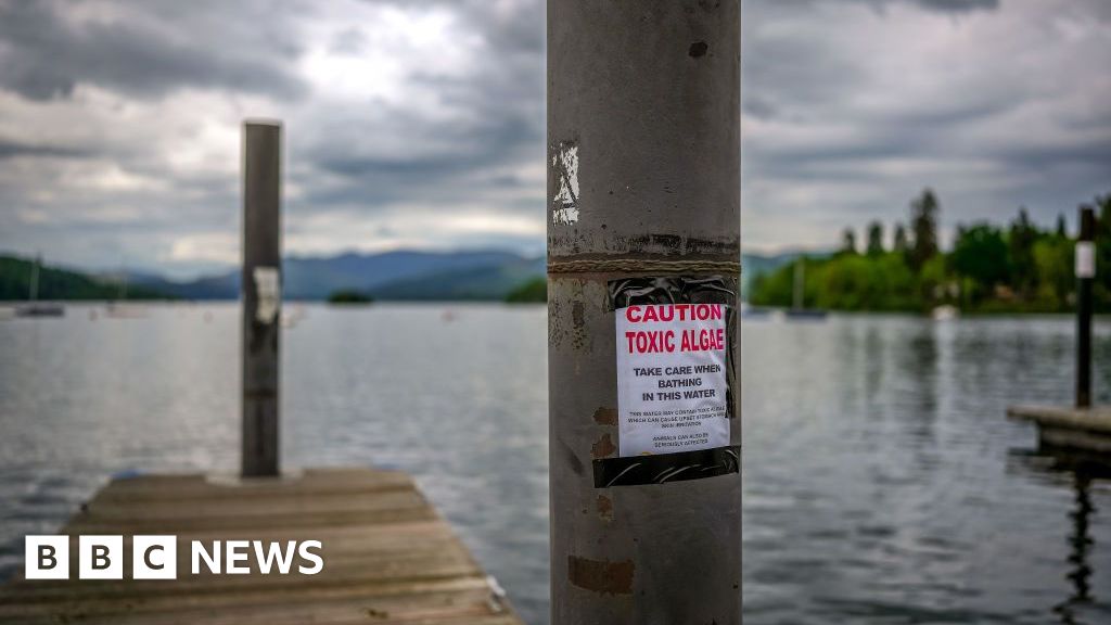 Government says water company investigations have increased