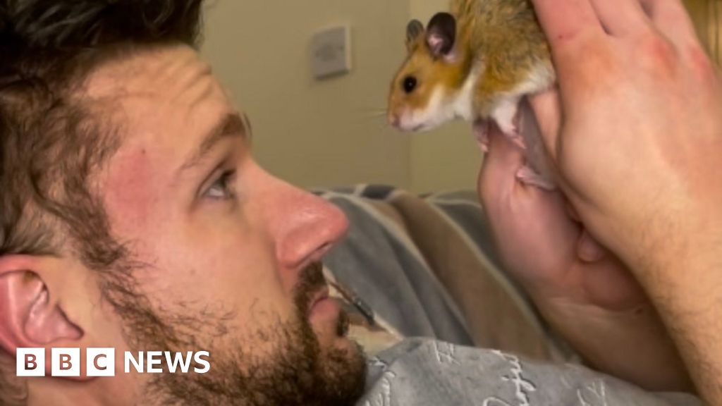 ‘Popcorn the hamster led me to meet the love of my life’