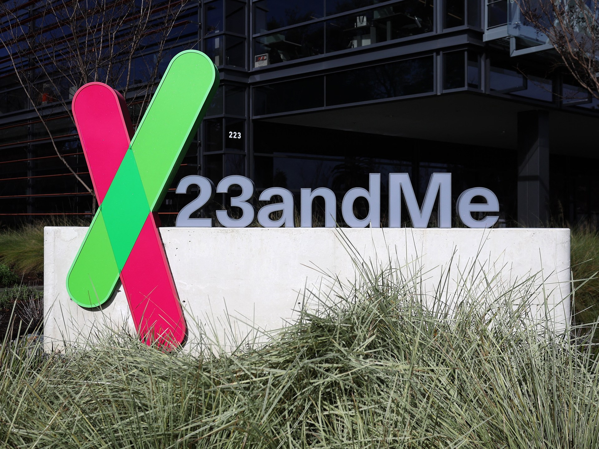 Regeneron buys 23andMe for $256m after bankruptcy | Business and Economy