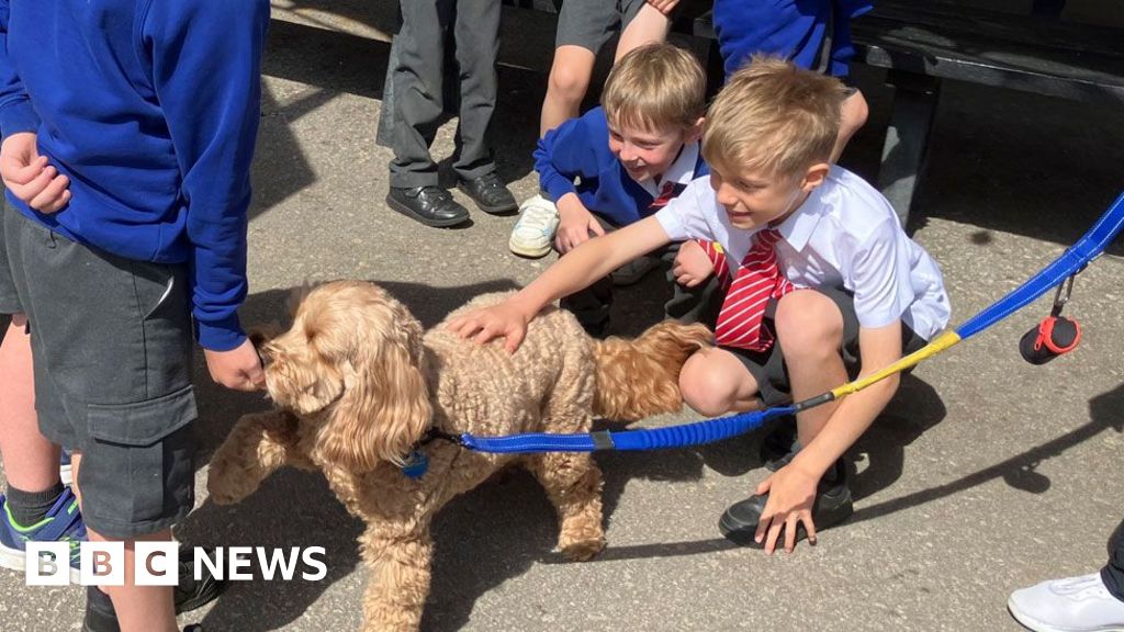 Northampton Saints hosts pupils’ mental health day
