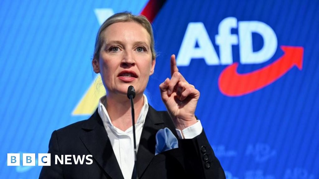AfD classified as extreme-right by German intelligence