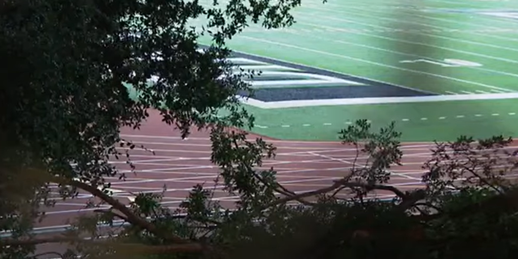 Falling tree injures 12 at college graduation ceremony in Northern California