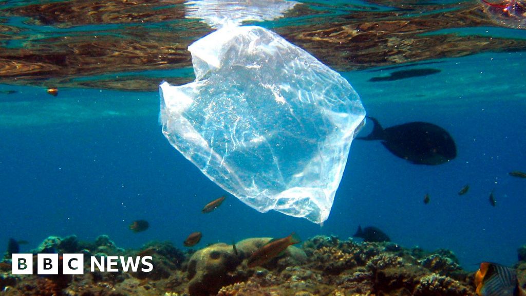 Have bans and fees curbed shoreline litter?