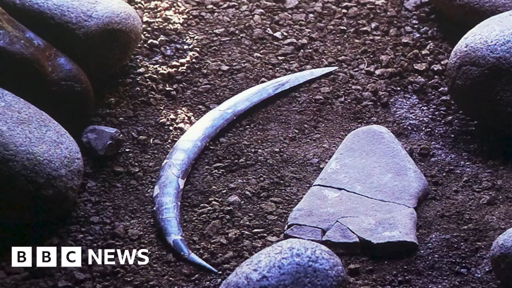 World’s oldest boomerang older than thought, but not Australian