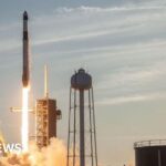 China Grants Temporary Rare Earth Export Licences After Trump-Xi Call