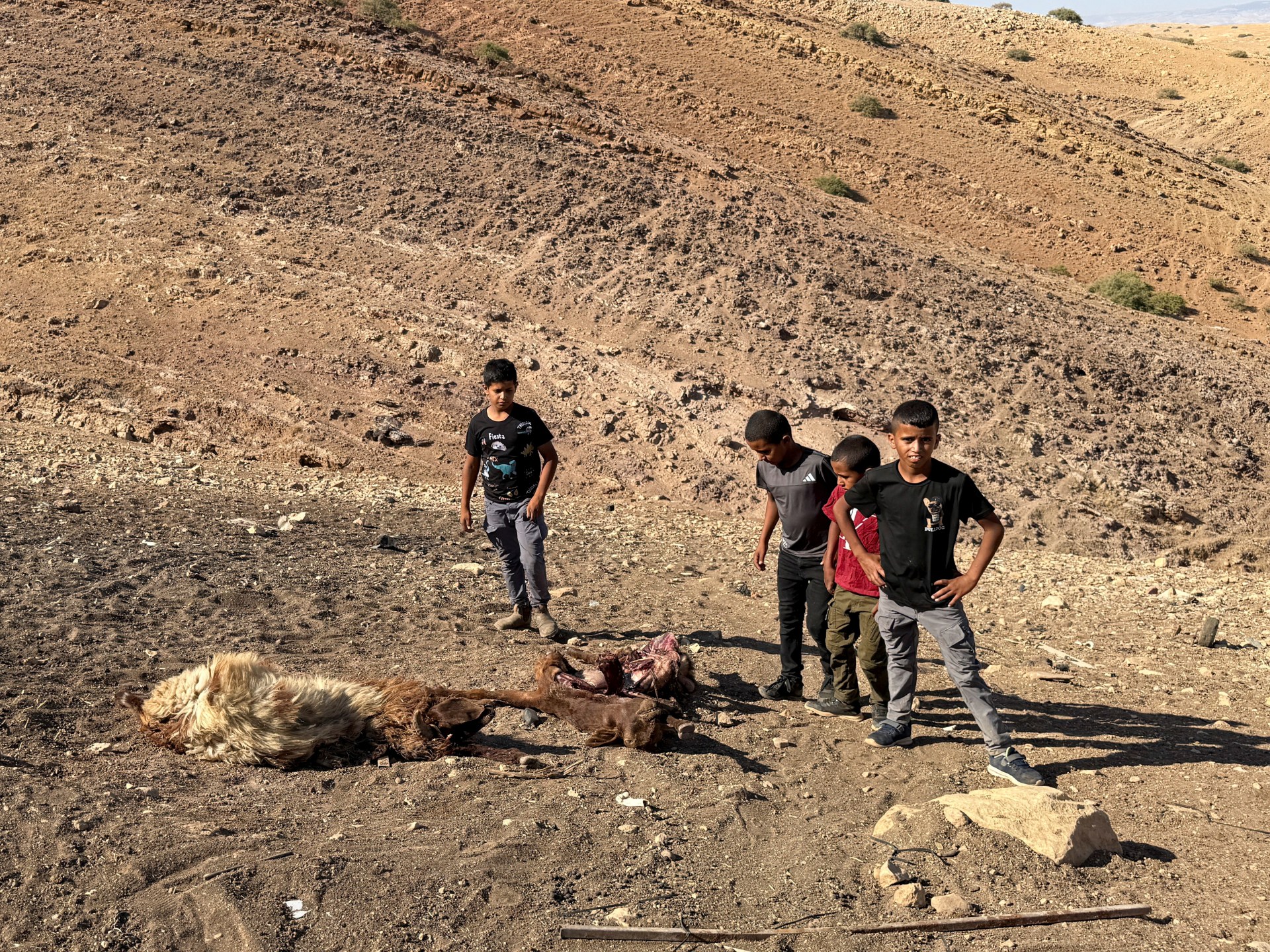 Palestinian child shot dead in West Bank by Israeli forces amid land grabs | Israel-Palestine conflict News