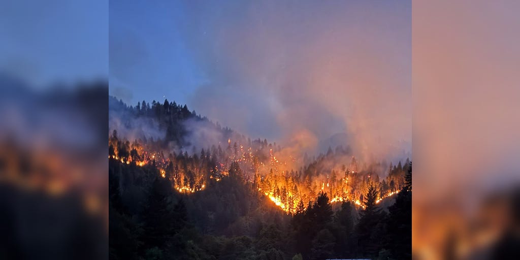 3 firefighters injured by falling tree while battling California’s Butler Fire