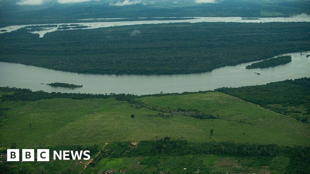 New Brazil development law risks Amazon deforestation