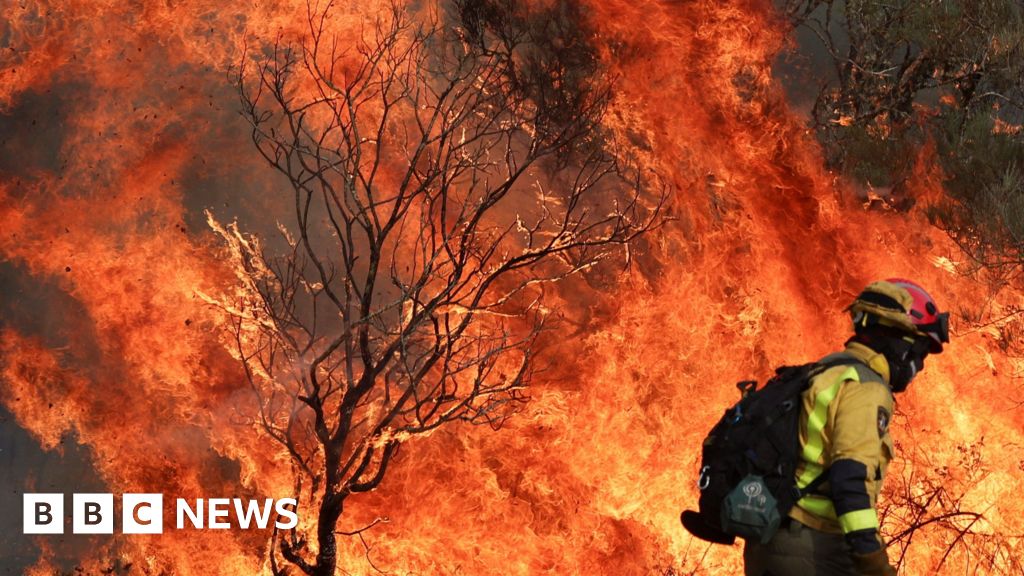 EU sends help as death toll rises