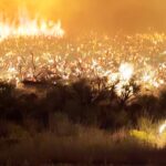 They escaped Ukraine’s front lines. The sound of drones followed them