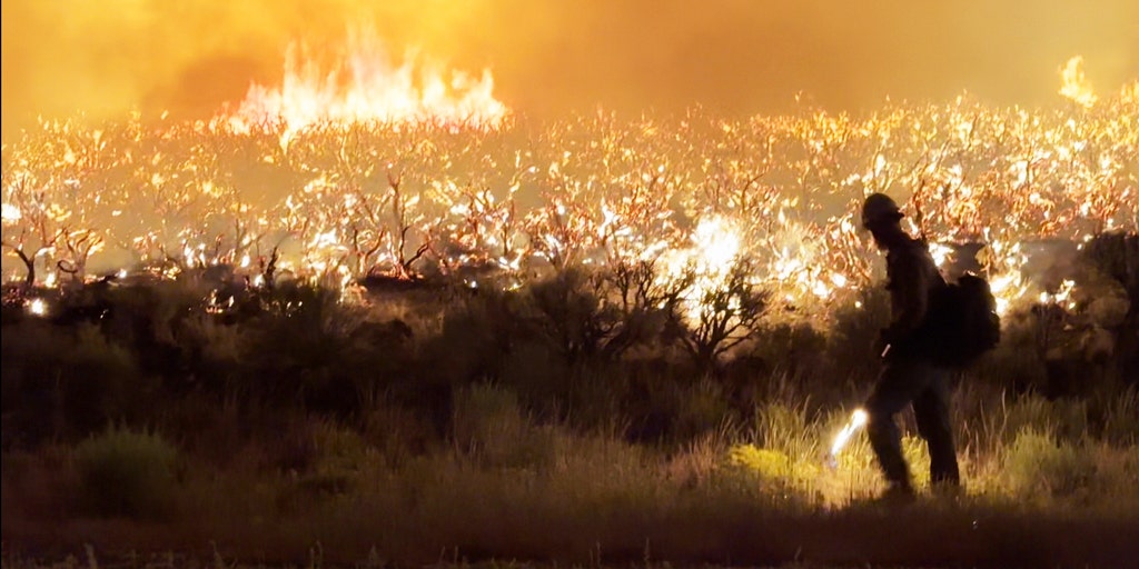 Utah governor declares month-long state of emergency due to intensifying wildfires
