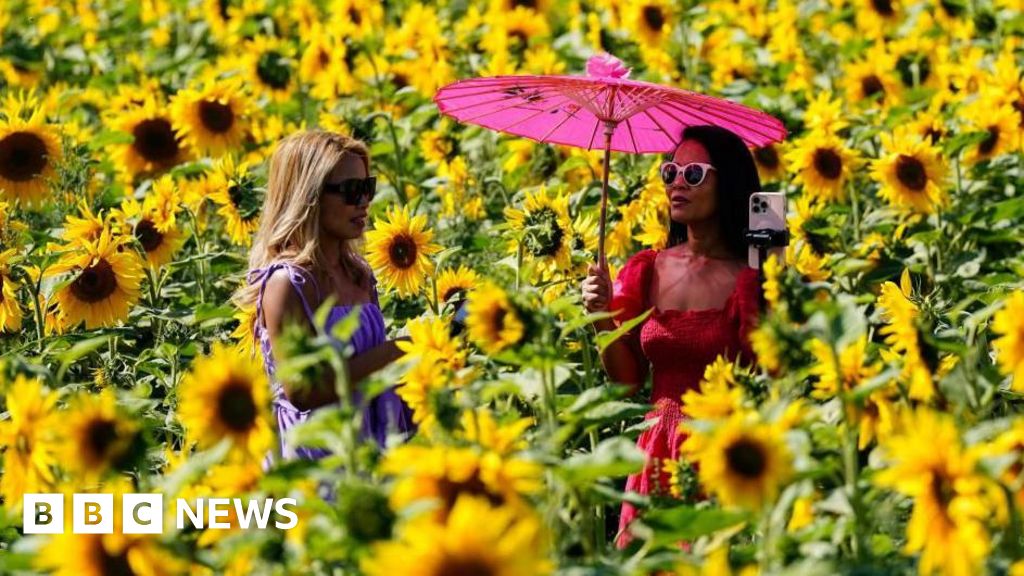 Bank holiday delivers record temperatures for parts of UK
