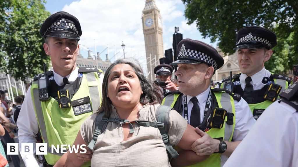 Palestine Action protesters arrested by police at London demo