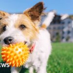 I didn’t know my medication made me more sensitive to the sun