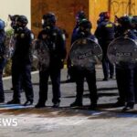 UK’s first rice crop ripe for picking after hot summer