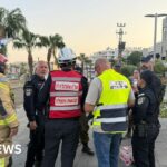 China makes landmark pledge to cut its climate emissions