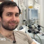 Why rats are overrunning our cities