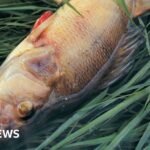 Tunbridge Wells nurse describes ‘chaotic’ night baby died