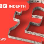 UK’s first rice crop ripe for picking after hot summer