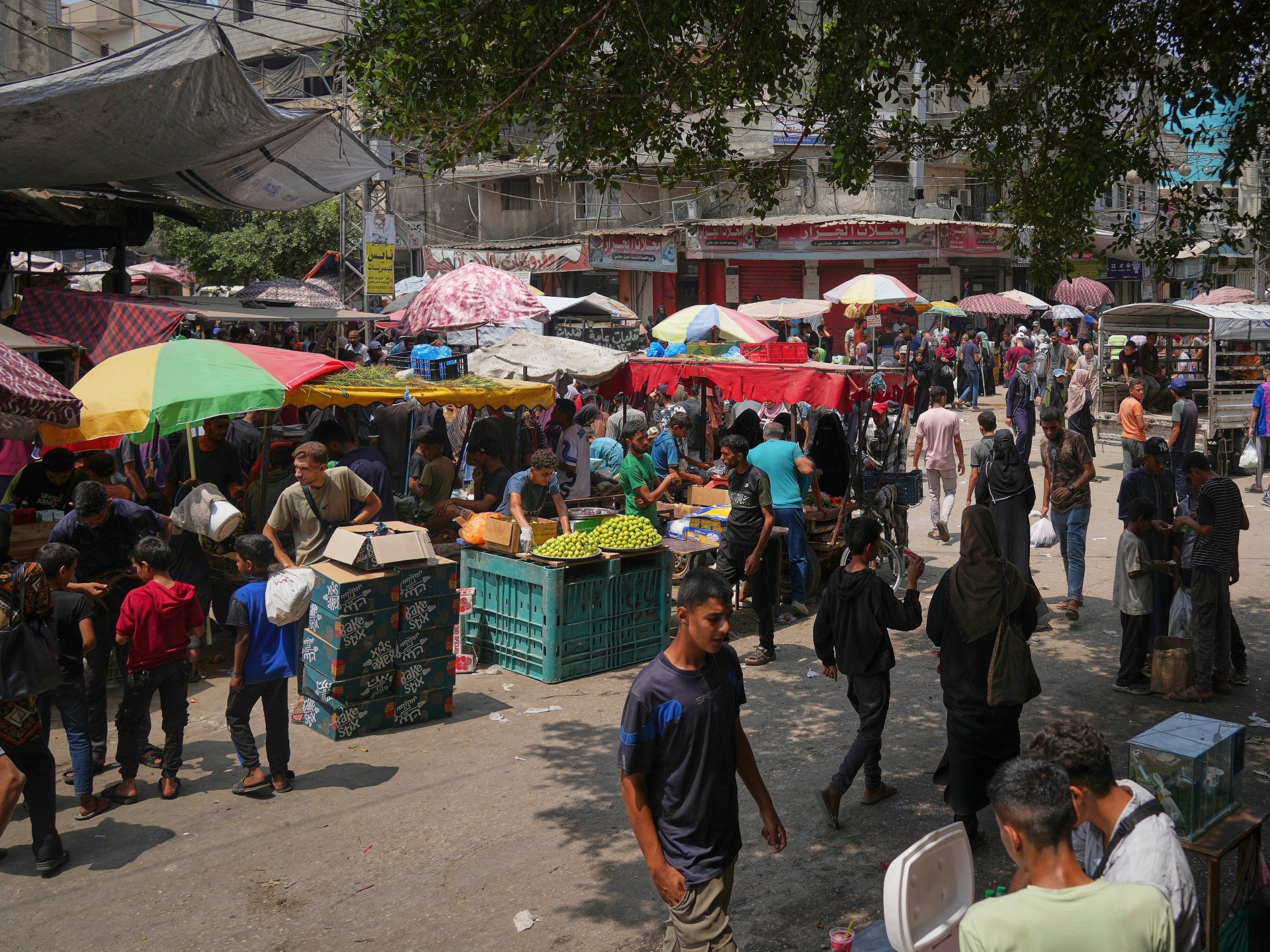 Here is the reason why markets in Gaza are ‘full’ while we starve | Israel-Palestine conflict