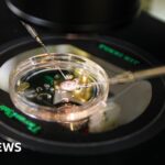 Why I’m challenging Nike, Puma and Adidas over single shoes