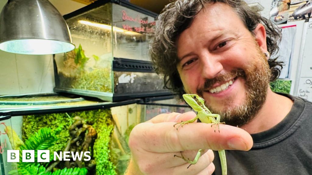 Iguana’s rare ‘virgin birth’ shocks Telford Zoo keepers