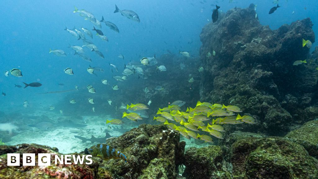 Key oceans treaty crosses critical threshold to come into force