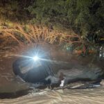 Palestinians flee Israeli bombing of Gaza City to ‘unknown’ in al-Mawasi | Israel-Palestine conflict News