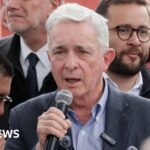 Baby P’s jailed mother Tracey Connolly bids for re-release