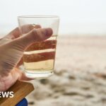 Sarkozy enters jail over campaign financing