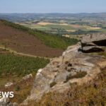 Report finds ‘missed opportunities’ into Addenbrooke’s surgeon