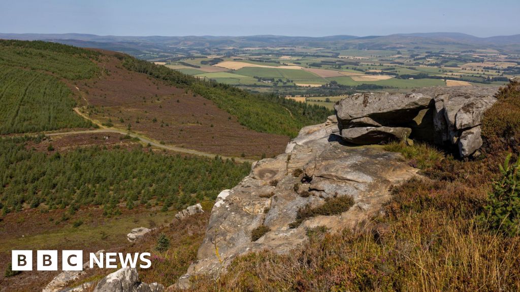 Sir David Attenborough backs bid to buy Rothbury Estate